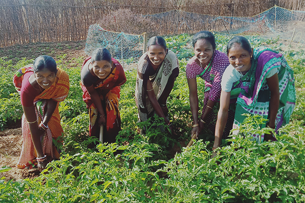 Women's Dev. Ministry